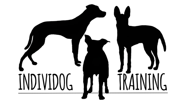 Logo Individog Training